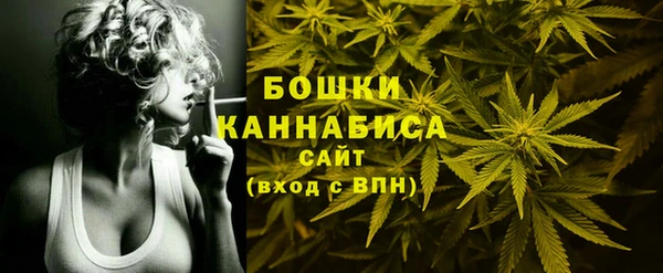 метадон Горняк