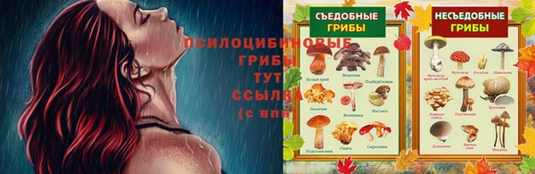 мескалин Вязники